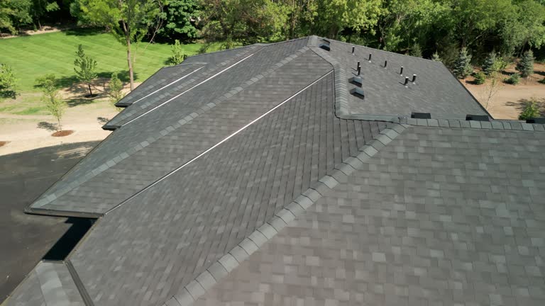 Best Roof Ventilation Installation  in Fort Davis, TX