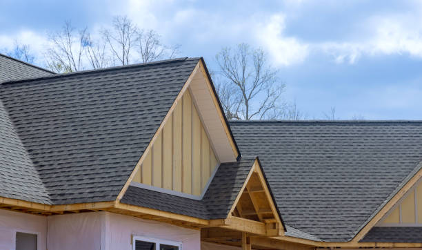 Best Skylight Installation and Repair  in Fort Davis, TX