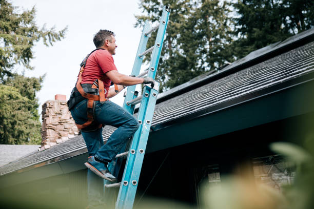 Best Emergency Roof Repair Services  in Fort Davis, TX